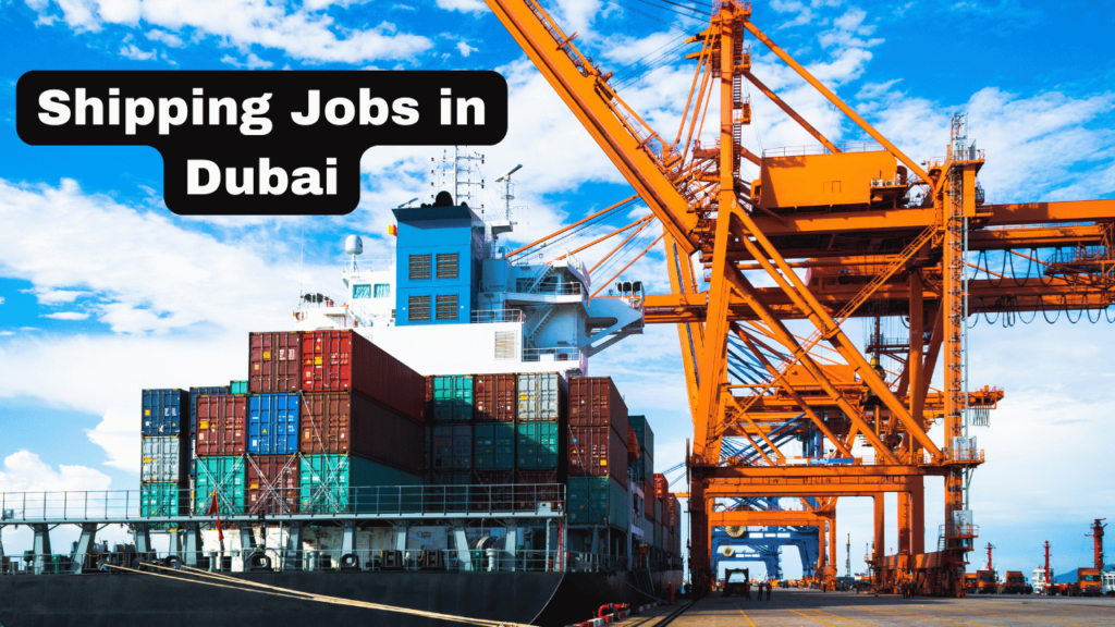 Shipping Jobs in Dubai
